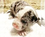 Small #3 Breeder Profile image