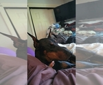 Small #5 Breeder Profile image