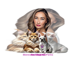 French Bulldog Dog Breeder near SAINT JOHNS, FL, USA
