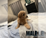 Small #3 Breeder Profile image