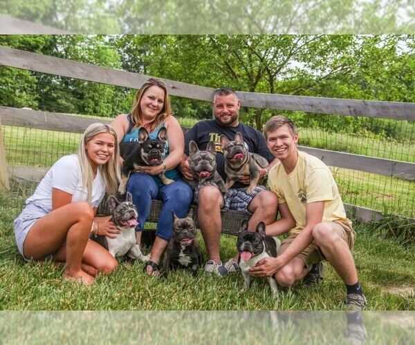 Medium Photo #1  Breeder Profile in DE MOSSVILLE, KY, USA