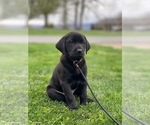 Small #56 Breeder Profile image