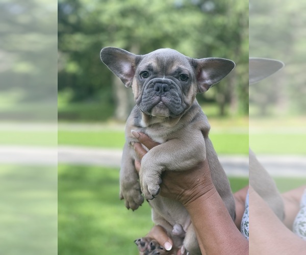 Medium Photo #1  Breeder Profile in BETHLEHEM, GA, USA