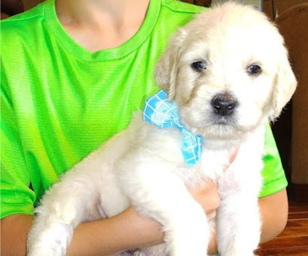 Medium Photo #9  Breeder Profile in ATHENS, TN, USA