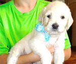 Small #8 Breeder Profile image