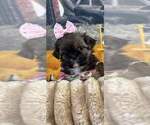 Small #17 Breeder Profile image