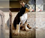Small #13 Breeder Profile image