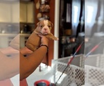 Small #3 Breeder Profile image