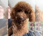 Small #23 Breeder Profile image