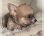 Small #16 Breeder Profile image
