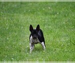 Small #5 Breeder Profile image