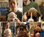 Small Photo #1  Breeder Profile in CARRIERE, MS, USA