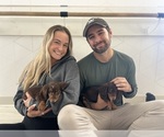 Small #12 Breeder Profile image