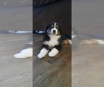 Small #28 Breeder Profile image