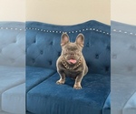 Small #22 Breeder Profile image