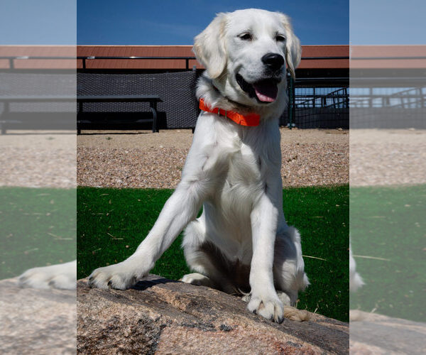 Medium Photo #5  Breeder Profile in LAS VEGAS, NV, USA