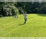 Small #7 Breeder Profile image