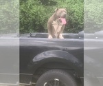 Small #10 Breeder Profile image