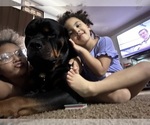 Small #12 Breeder Profile image
