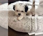 Small #1 Breeder Profile image