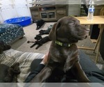Small #5 Breeder Profile image