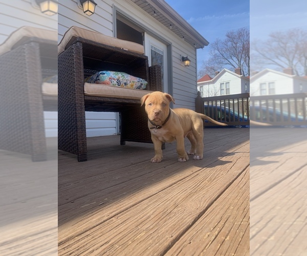 Medium Photo #26  Breeder Profile in GOSHEN, KY, USA