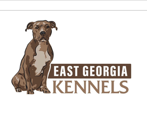 American Staffordshire Terrier Dog Breeder near COVINGTON, GA, USA