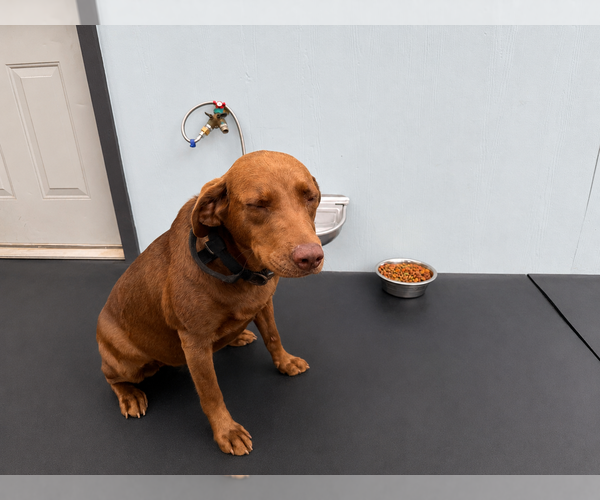 Medium Photo #4  Breeder Profile in WHITNEY, TX, USA