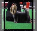 Small #31 Breeder Profile image