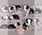Small #7 Breeder Profile image