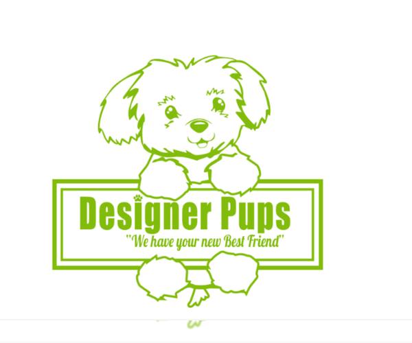 Medium Photo #1  Breeder Profile in HIGH POINT, NC, USA