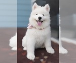 Small #5 Breeder Profile image
