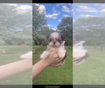 Small #13 Breeder Profile image