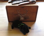 Small #8 Breeder Profile image