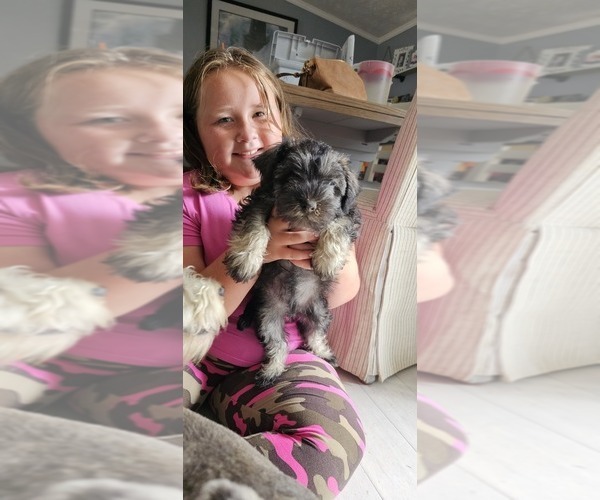 Medium Photo #3  Breeder Profile in DEMOTTE, IN, USA