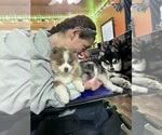 Small #20 Breeder Profile image