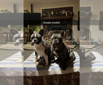 Small #6 Breeder Profile image
