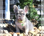 Small #15 Breeder Profile image