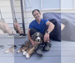 Small #1 Breeder Profile image