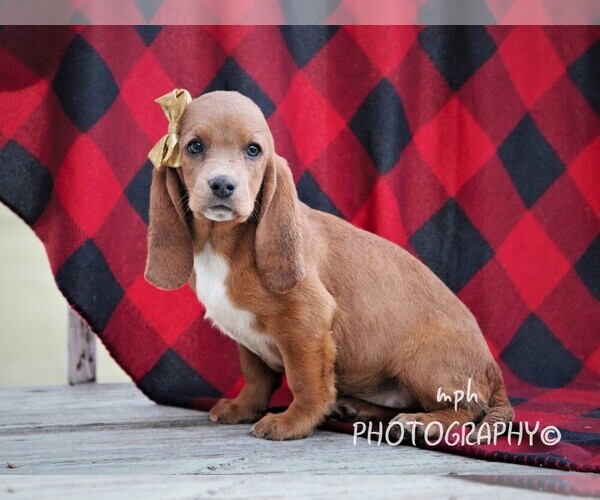 Medium Photo #1  Breeder Profile in LIBERTY, KY, USA