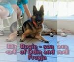 Small #25 Breeder Profile image