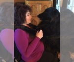 Small #9 Breeder Profile image