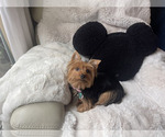 Small #16 Breeder Profile image