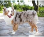 Small #4 Breeder Profile image