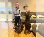 Small #13 Breeder Profile image