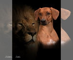 Small #3 Breeder Profile image
