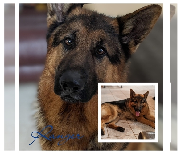 Medium Photo #10  Breeder Profile in MOLALLA, OR, USA