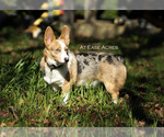 Small #9 Breeder Profile image