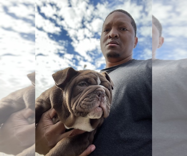 Medium Photo #1  Breeder Profile in ROSHARON, TX, USA