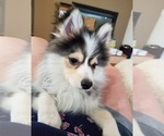 Small #11 Breeder Profile image